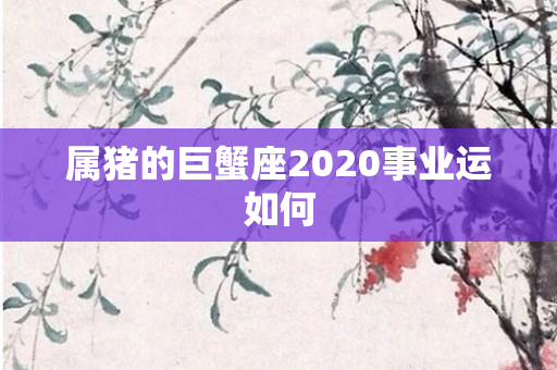 属猪的巨蟹座2020事业运如何