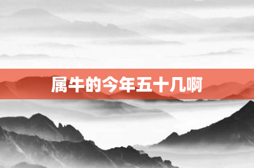 属牛的今年五十几啊