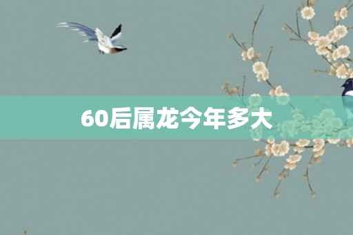 60后属龙今年多大