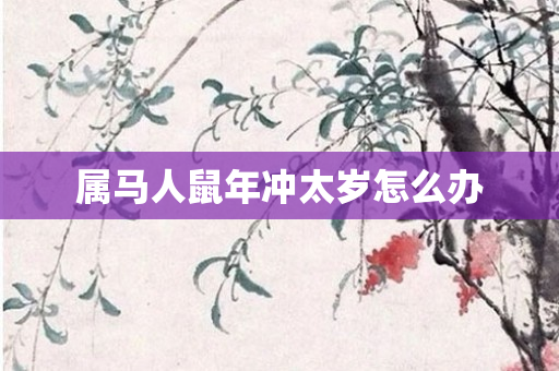 属马人鼠年冲太岁怎么办