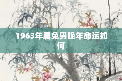 1963年属兔男晚年命运如何