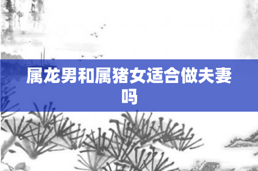 属龙男和属猪女适合做夫妻吗