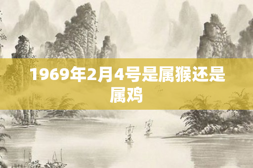 1969年2月4号是属猴还是属鸡
