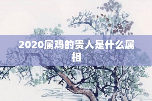 2020属鸡的贵人是什么属相
