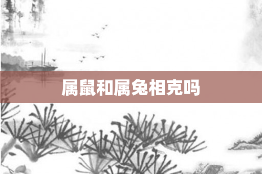 属鼠和属兔相克吗