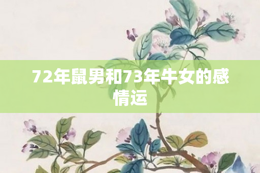 72年鼠男和73年牛女的感情运
