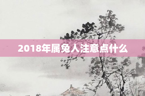 2018年属兔人注意点什么