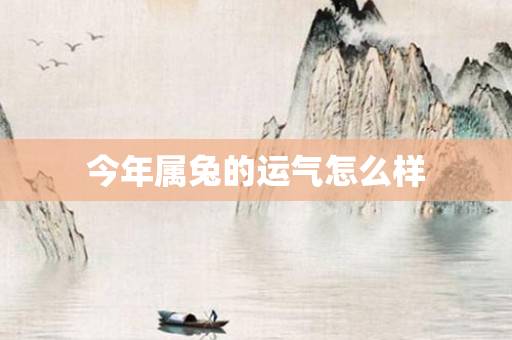 今年属兔的运气怎么样
