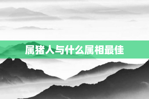 属猪人与什么属相更佳