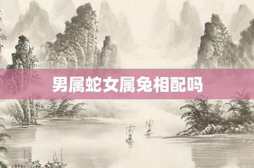 男属蛇女属兔相配吗