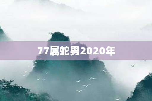 77属蛇男2020年