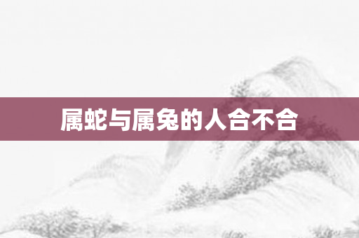 属蛇与属兔的人合不合