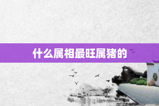 什么属相最旺属猪的