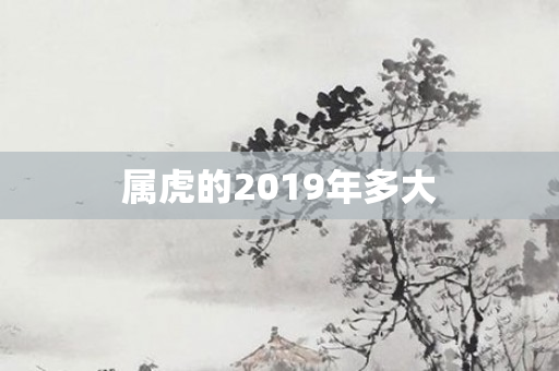 属虎的2019年多大