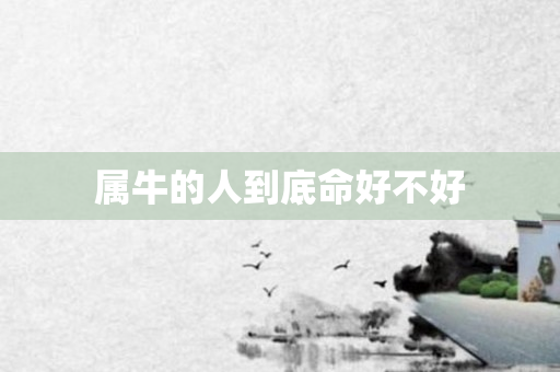 属牛的人到底命好不好