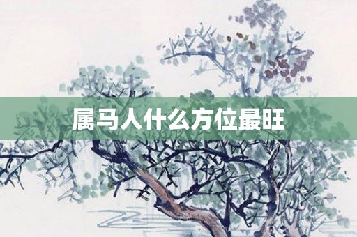 属马人什么方位最旺