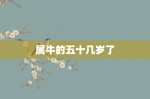 属牛的五十几岁了