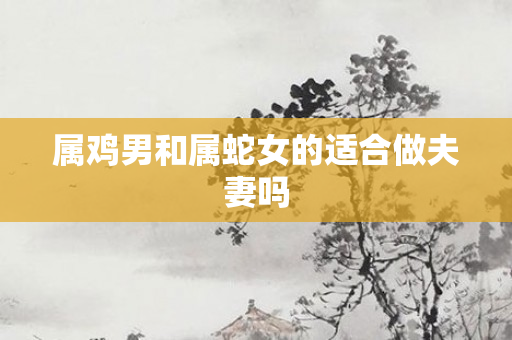 属鸡男和属蛇女的适合做夫妻吗