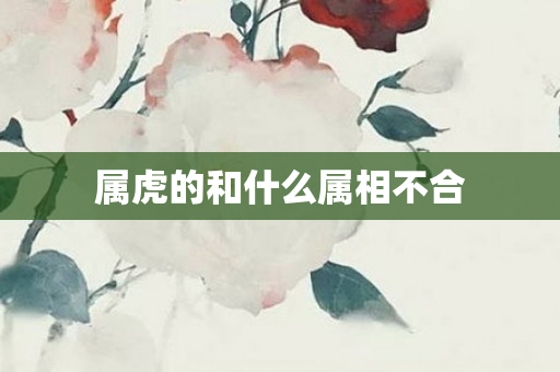 属虎的和什么属相不合