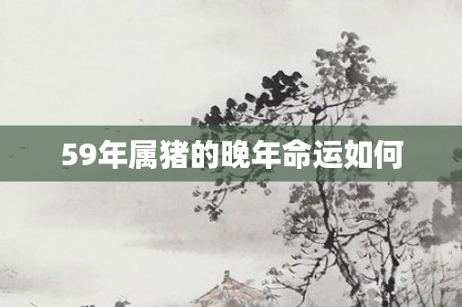 59年属猪的晚年命运如何