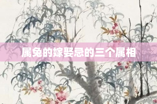 属兔的嫁娶忌的三个属相