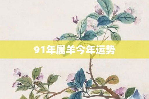 91年属羊今年运势
