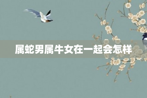 属蛇男属牛女在一起会怎样