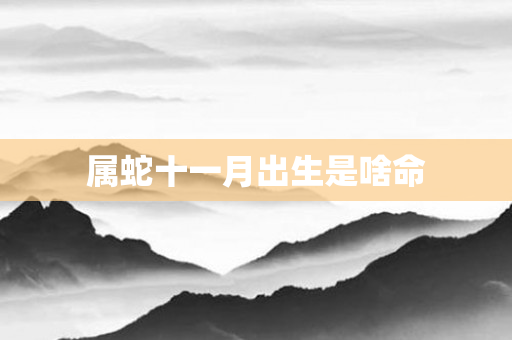 属蛇十一月出生是啥命