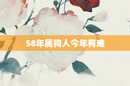 58年属狗人今年有难