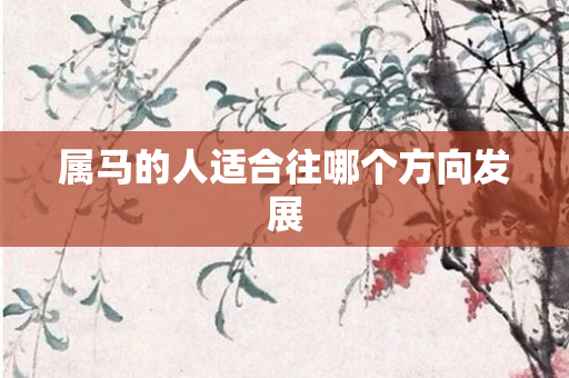 属马的人适合往哪个方向发展