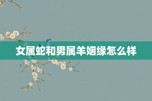女属蛇和男属羊姻缘怎么样