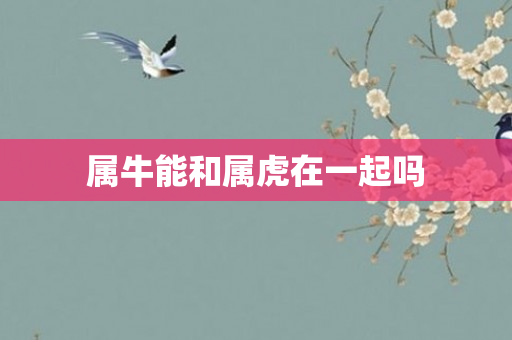 属牛能和属虎在一起吗