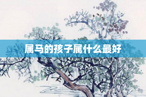 属马的孩子属什么更好