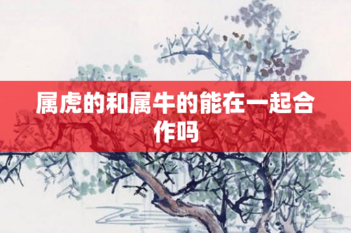 属虎的和属牛的能在一起合作吗