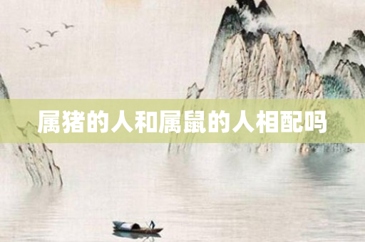 属猪的人和属鼠的人相配吗