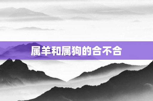 属羊和属狗的合不合