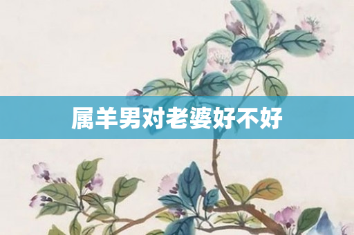 属羊男对老婆好不好