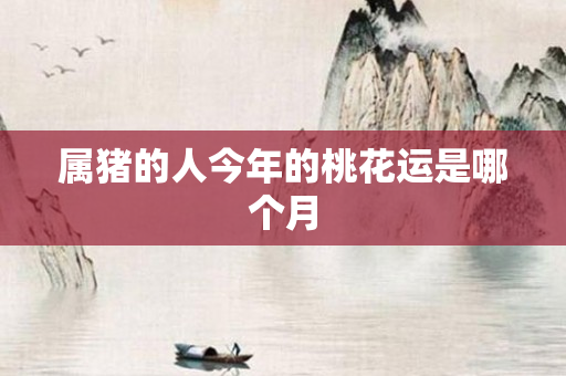 属猪的人今年的桃花运是哪个月