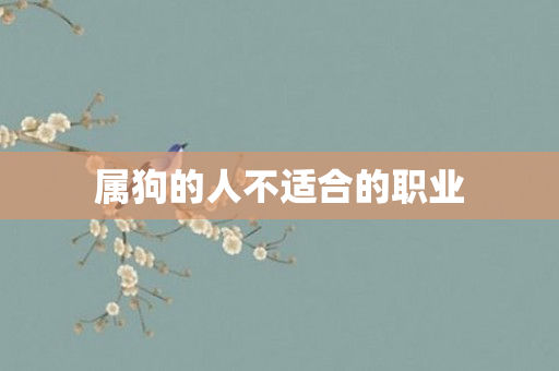 属狗的人不适合的职业