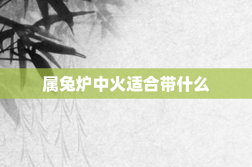 属兔炉中火适合带什么