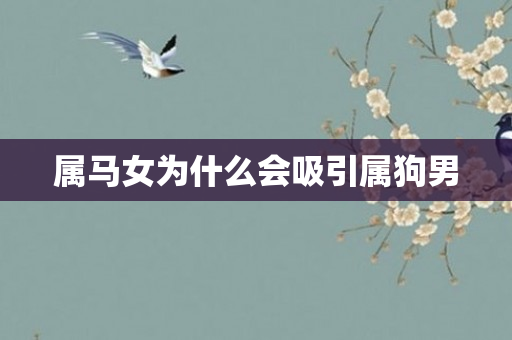 属马女为什么会吸引属狗男
