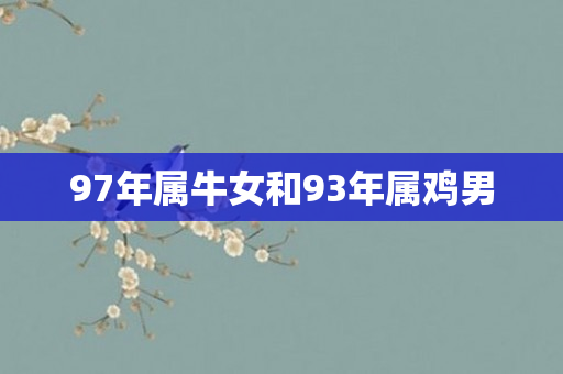 97年属牛女和93年属鸡男