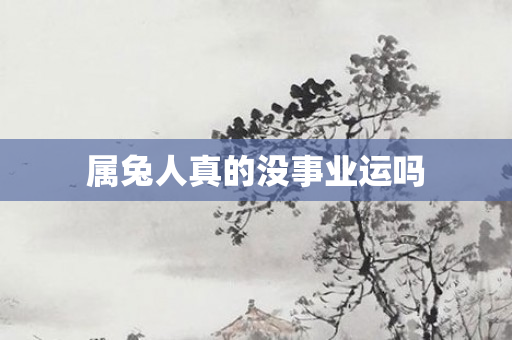 属兔人真的没事业运吗