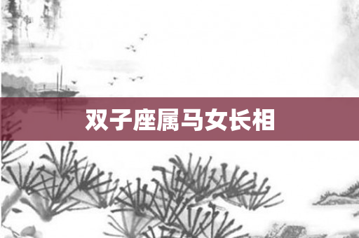 双子座属马女长相