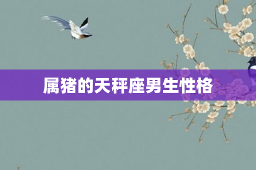 属猪的天秤座男生性格