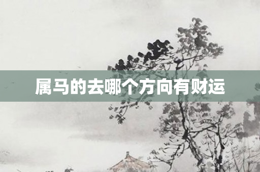 属马的去哪个方向有财运