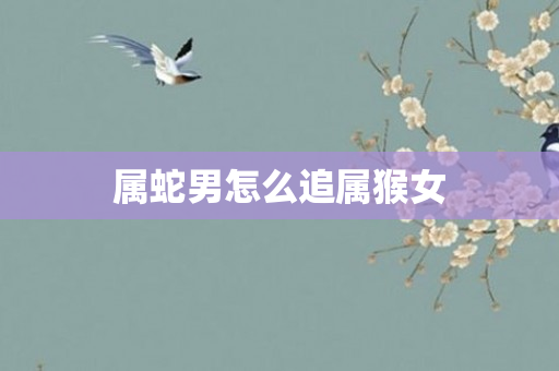 属蛇男怎么追属猴女