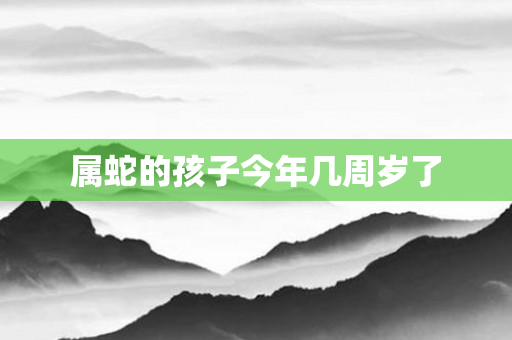 属蛇的孩子今年几周岁了