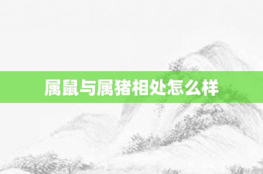 属鼠与属猪相处怎么样