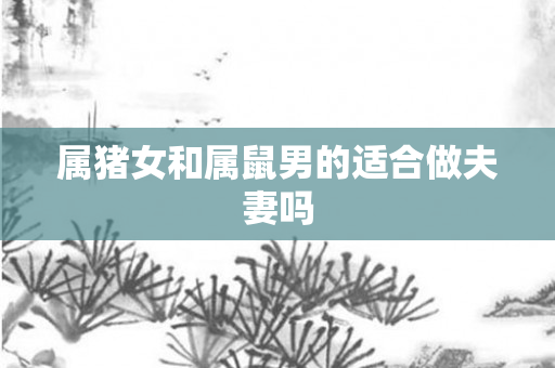 属猪女和属鼠男的适合做夫妻吗